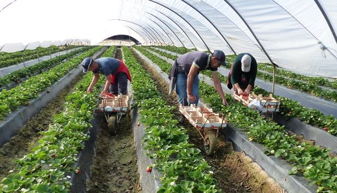 agrodiariohuelva.es tweet media
