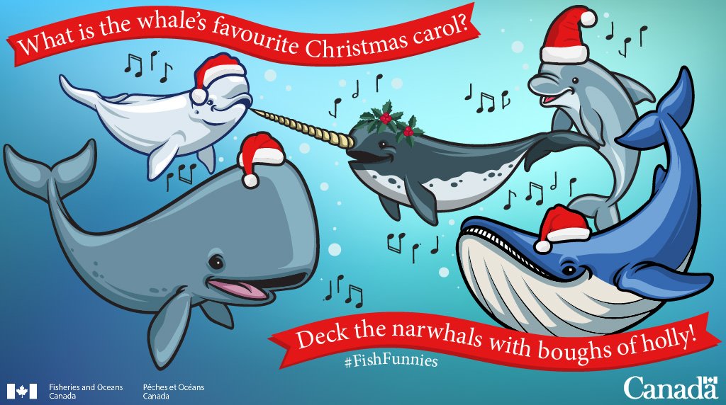 FishOceansCAN's tweet photo. It’s one week until Christmas! Celebrate with a daily #FishFunny. https://t.co/miJEvL1QAO https://t.co/XAyzoHTvaw