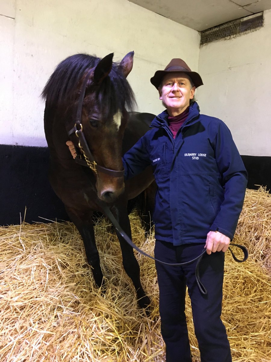 rpbloodstock's tweet photo. Kilbarry Lodge Stud owner Con O'Keeffe tells us about his popular new stallion Diamond Boy - who covered 235 mares this year - and a flourishing female family on the farm > https://t.co/HsLT1kPimH https://t.co/5rvP39B8Uo