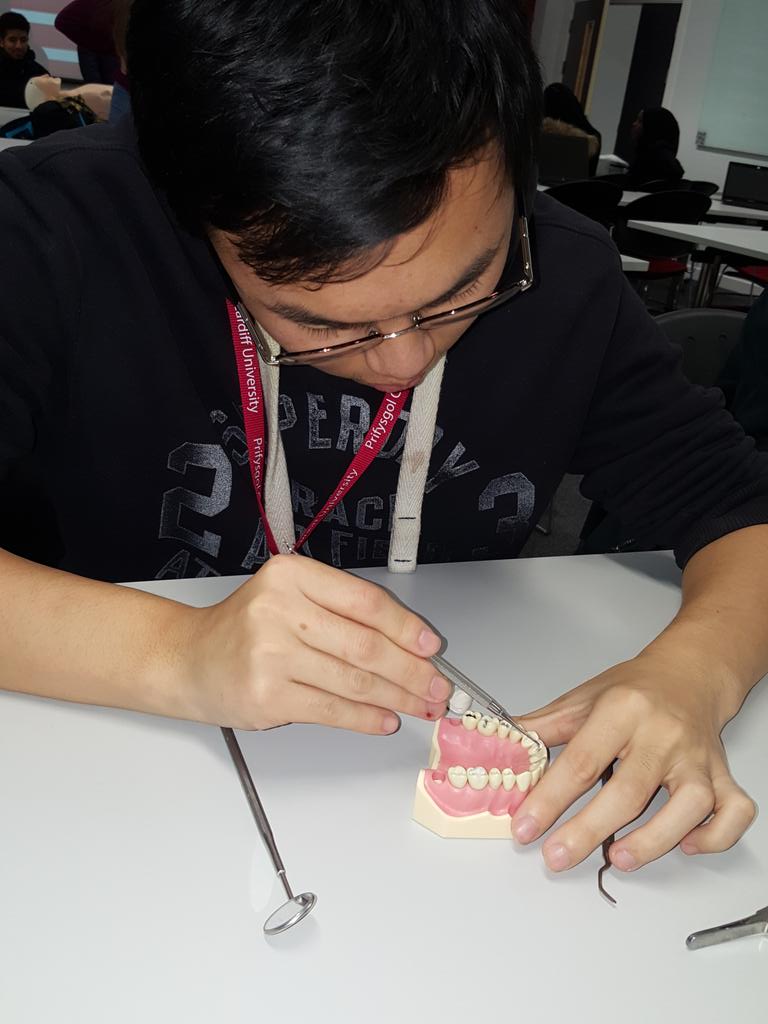 WEducap's tweet photo. Having a go at some MMI dentistry tests @WillowsMrNorman @willowshigh https://t.co/wQrGgWksJu