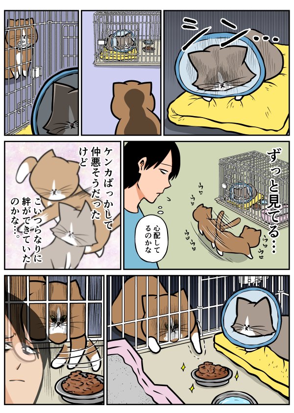 鴻池 剛 Na Tviteru 今月27日に2年ぶりとなってしまいましたが ニャアアアン 3巻が発売されます 内容はいつもどおりです よろしくお願いします T Co Qsxfsu66hy
