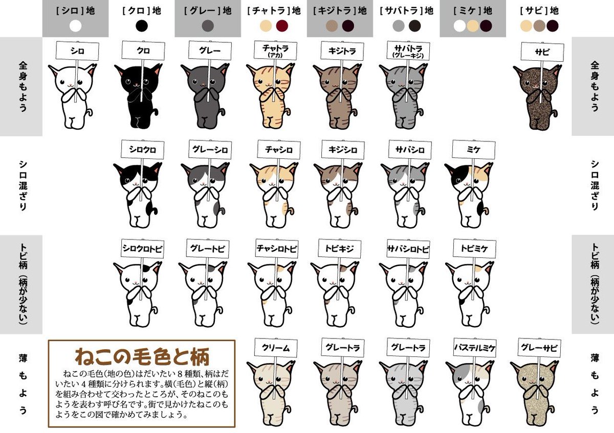Just in case you don’t know how to say cat colour and pattern in Japanese.