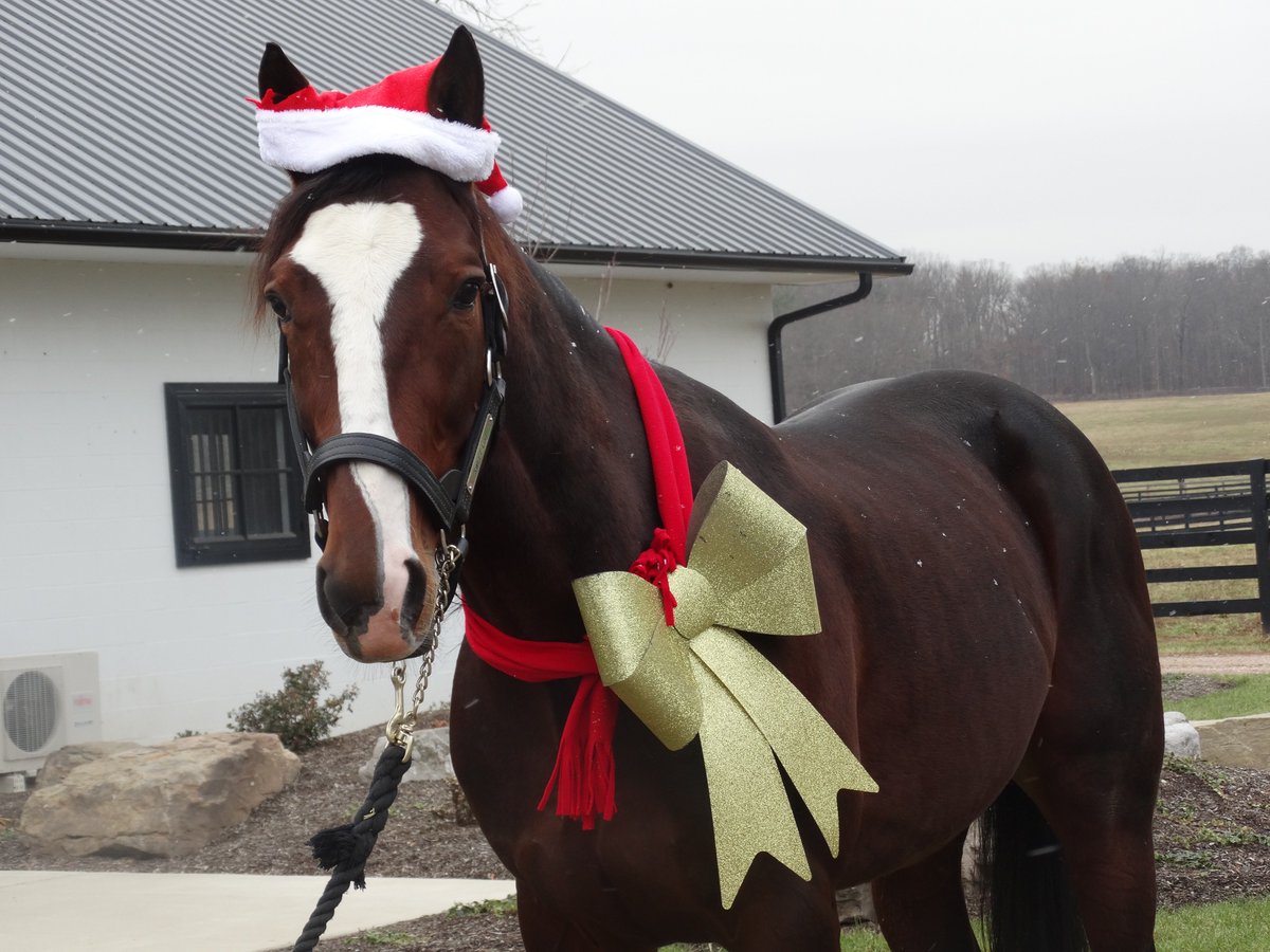 Happy Holidays!