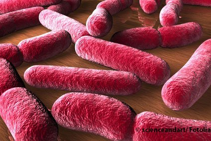 Allergieinfo_M's tweet photo. Eine Studie aus Neuseeland liefert erste Hinweise darauf, dass ein #Probiotikum aus Lactobacillus rhamnosus das Risiko für eine #Allergie senken könnte. Die Ergebnisse wurden im Fachjournal ‚Pediatric Allergy and Immunology‘ veröffentlicht. Mehr dazu: https://t.co/AiiaOtEZHD https://t.co/rRPTasUwR9