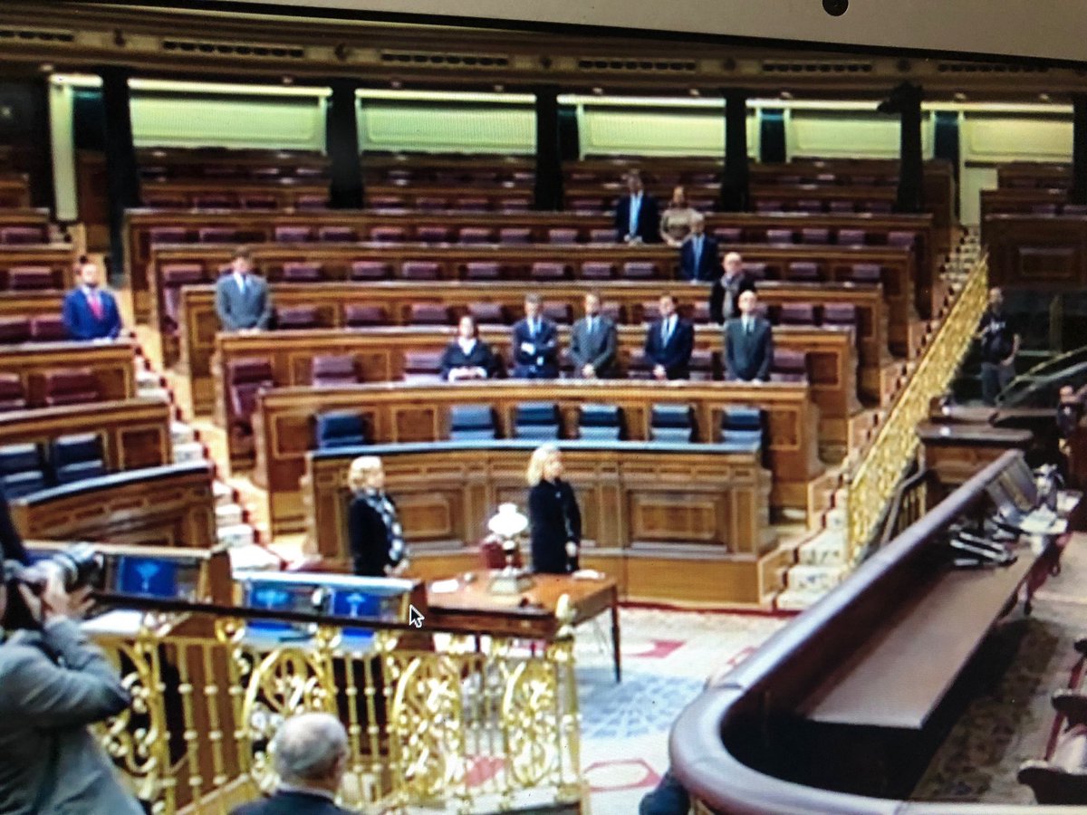 estherpalomera's tweet image. Así está el pleno durante el minuto de silencio en repulsa por el asesinato de la joven Laura Luelmo... #TodoDicho