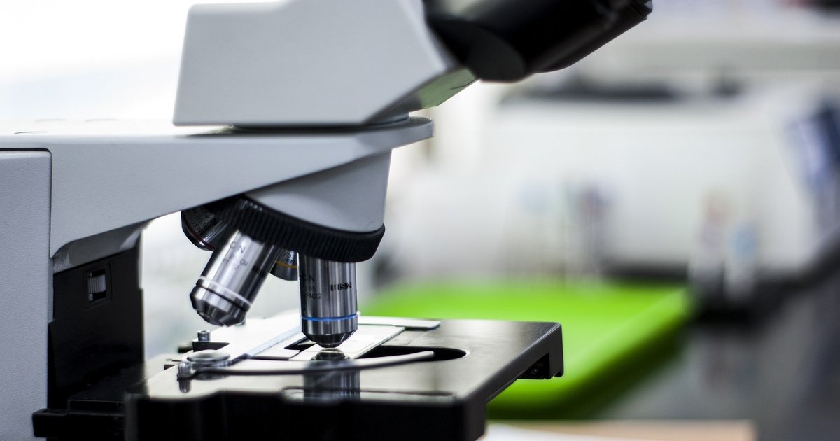 lf_science's tweet image. Российское приложение научилось определять рак кожи: life.ru/1179409