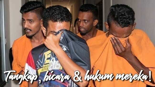 Optiberryplus Food Synergy tweet media