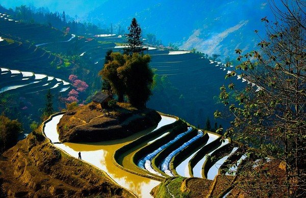 cq34936's tweet photo. beautiful nature
#beautifulnature #nature #followback #travel #AmazingNature https://t.co/62qy0gyRDc