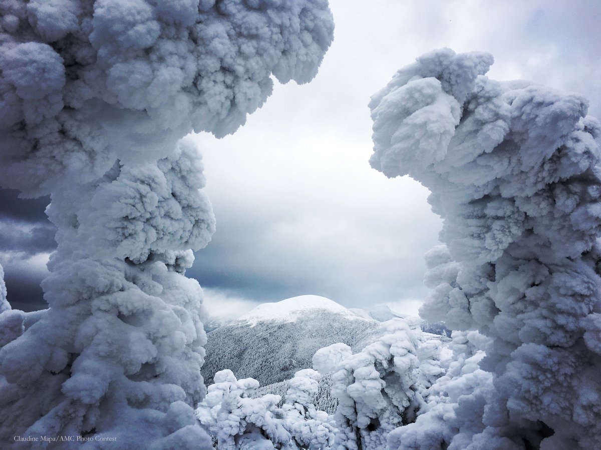AppMtnClub's tweet image. "Between every two pines is a 🌲 doorway to a new world." - John Muir.