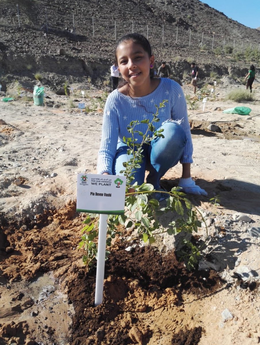 As a part of my contribution to the campaign #IAMFORZAYED, planted Sedar tree saplings to protect the bees from becoming extinct @EEG_UAE <a href="/AbdullaSAlSaed1/">🇦🇪عبدالله بن سالم الساعدي🇦🇪</a> <a href="/Nahtam/">Nahtam Social Responsibility</a> @TheNationalUAE <a href="/IndianHigh_DXB/">Indian High School, Dubai</a> <a href="/sgviews/">Sharnoff's Global Views</a> <a href="/NatGeoAbuDhabi/">ناشونال جيوغرافيك أبوظبي</a> <a href="/ews_wwf/">EmiratesNature_WWF</a> <a href="/lovindubai/">Lovin Dubai | لوڤن دبي</a> <a href="/KHDA/">KHDA | هيئة المعرفة والتنمية البشرية بدبي</a> <a href="/shamma/">شما المزروعي | Shamma Al Mazrui</a> <a href="/AbdulHamidAhmad/">Abdul Hamid Ahmad</a>