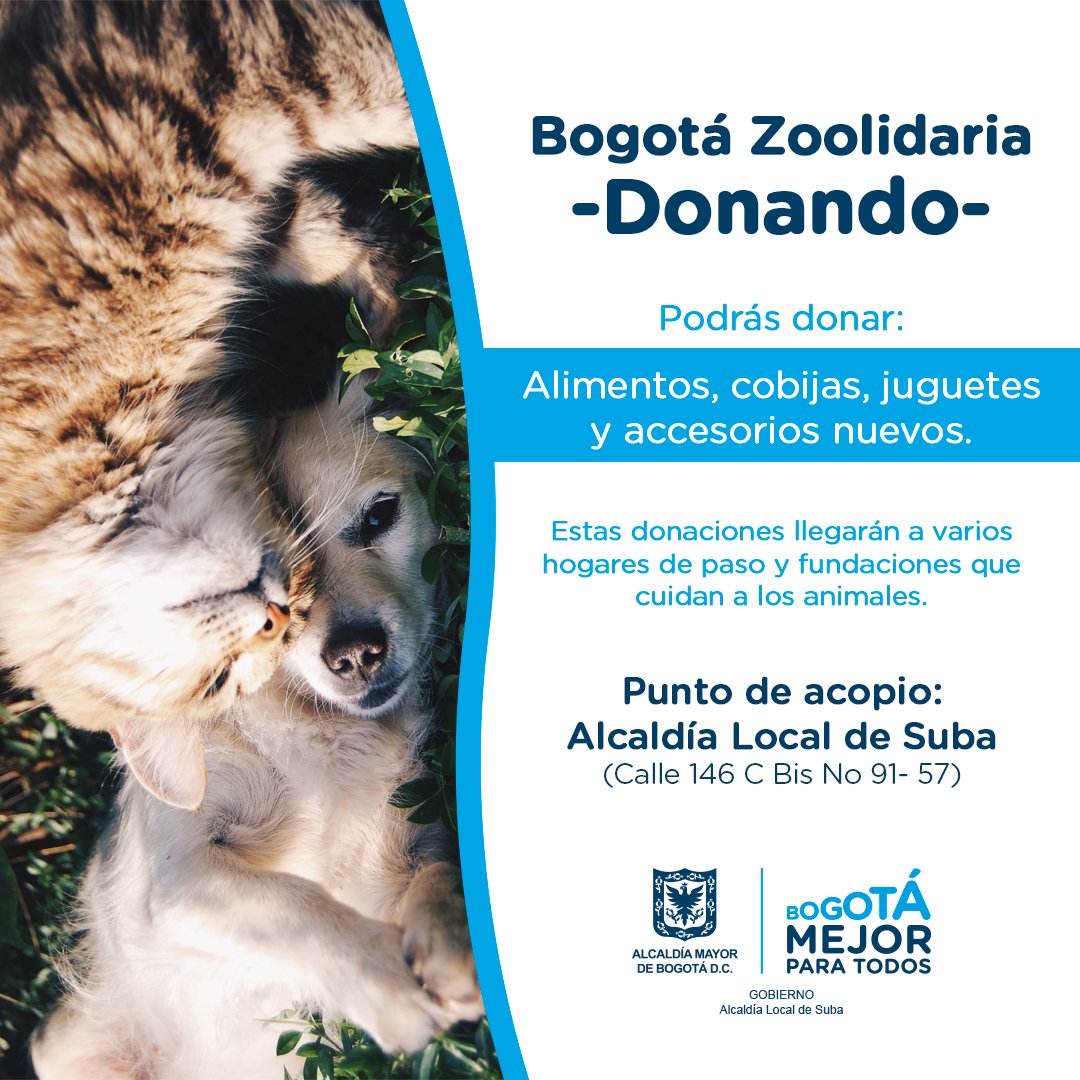 subaalcaldia's tweet image. #SubaInforma ☑️

Bogotá Zoolidaria - DONANDO - 🐶🐱
Se reciben: 
Alimentos 
Cobijos
Juguetes 
Accesorios nuevos

❤️Estas donaciones llegarán a varios hogares de paso y fundaciones que cuidan a los animales. 

🏚Punto de acopio: Alcaldía Local de Suba (Calle 146C Bis N. 91 - 57 )