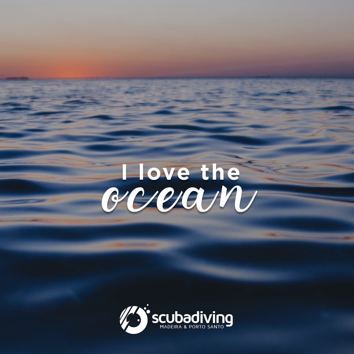 ScubaDivingM's tweet photo. Our favorite place on Earth!

#ScubaDiving #ScubaLife #Ocean https://t.co/4QVyHUkmpc