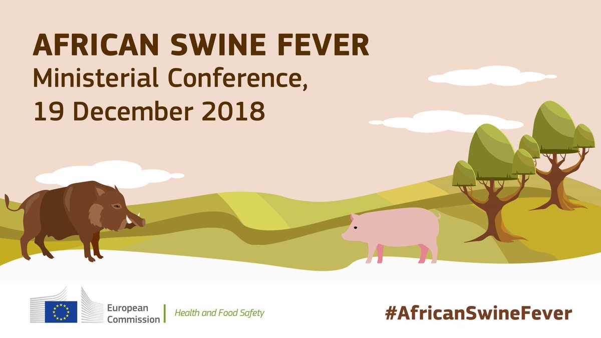 #ASF | Nikolaus Kriz, our Head of Animal and Plant Health Unit, will speak about the latest developments in #RiskAssessment on #AfricanSwineFever. Tune in tomorrow at 09:55 ow.ly/t2Dg30n1S96