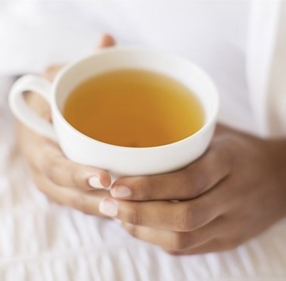 teagarimo's tweet photo. https://t.co/3AAKZYqHKj
#teagarimo #te #teagranel #infusiones #infusionesagranel #dulces #azucares #accesorios https://t.co/3QFBOuHWCb