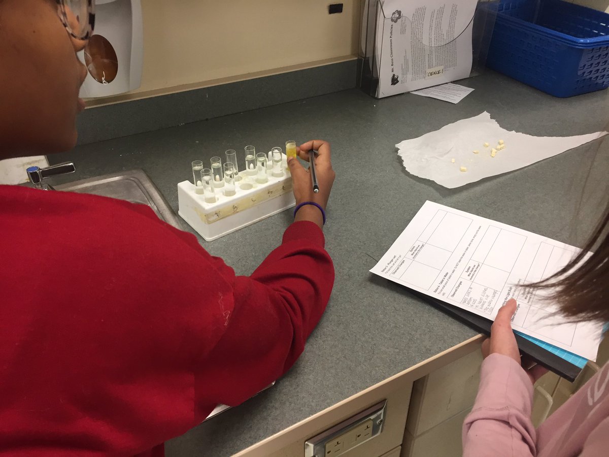 RossScience's tweet photo. Learning about changes. What causes change? https://t.co/pvK2PfnQ4J