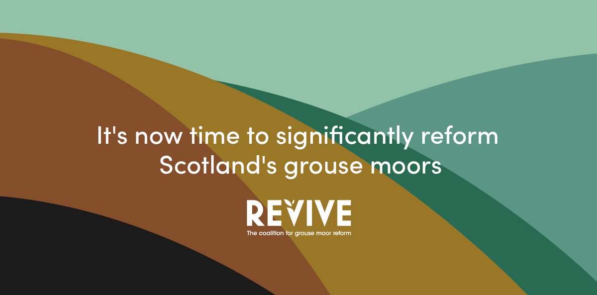 Please sign this petition if you'd like to see Scotland's grouse moors used for the benefit of all wildlife #OurMoors
e-activist.com/page/33064/pet…