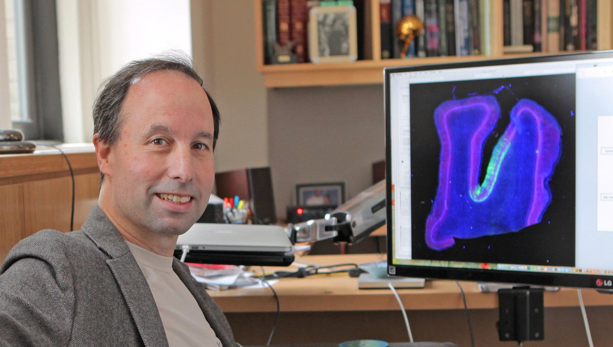 Columbia University's Zuckerman Institute tweet media