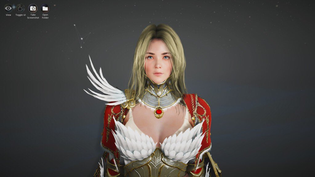 khaleesi valkyrie black desert online character template khaleesi valkyrie black desert online character template