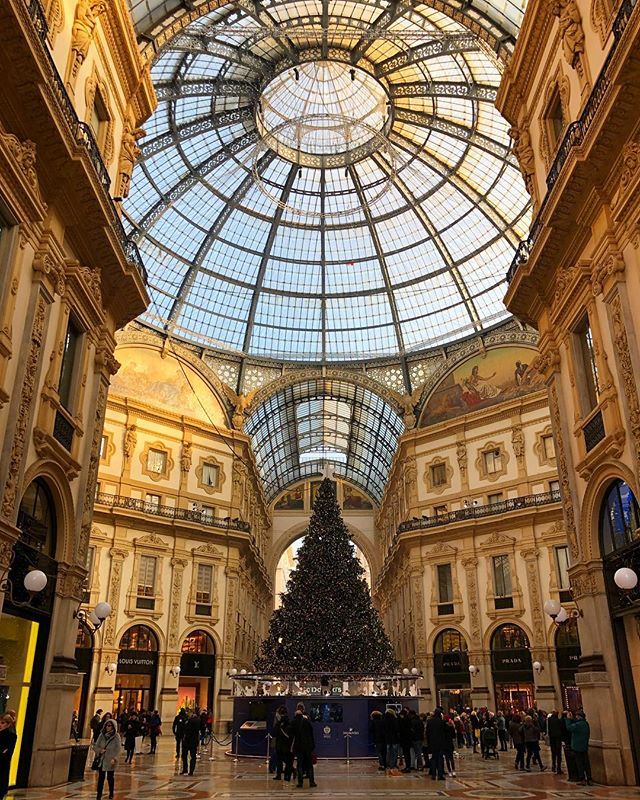 Leclesh's tweet photo. Bit of last minute Christmas shopping 👌🏻 .
.
.
#milano #italy #travel #christmas #tree #architecture #architecturephotography #scenes #shoppingmall #gucci #prada https://t.co/LlA5znafAx https://t.co/tVDhbns2EE