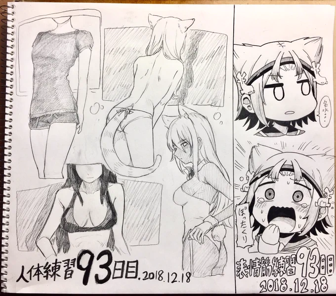 完成するのが12時前だったので、とりあえず間に合いました😅
急いで描いたので、あんまり描き込めなかったのは残念です。後、腕痛い...ペンを握る力入れ過ぎた。
🐈✏️✨✨✨✨
100日目まで後7日‼️ 