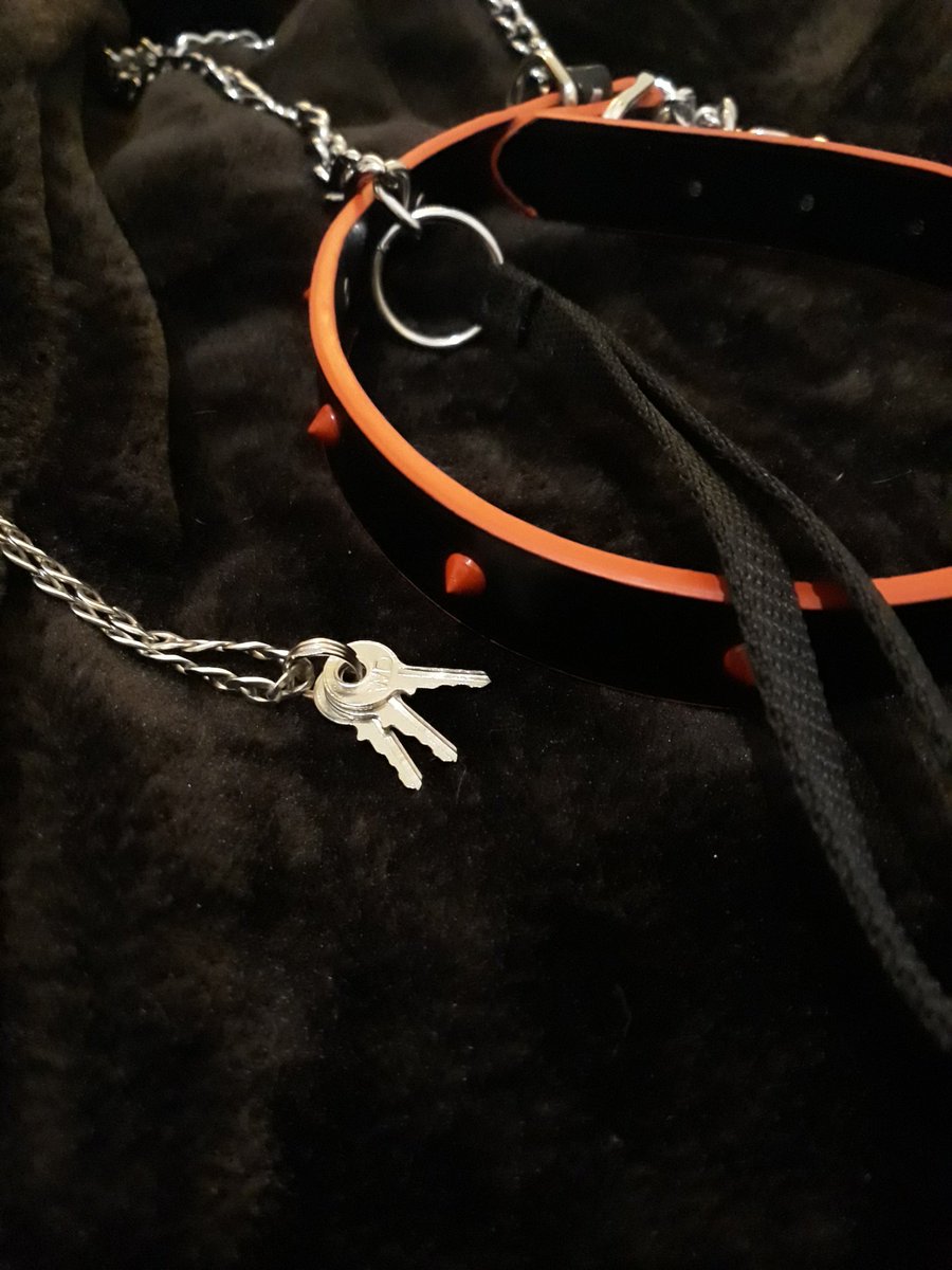 MistressIsisV's tweet photo. Longe de mim, o meu Slave de estimação está em castidade 🗝
~
My loyal bitch is far away from me, and so he's in chastity 🗝
#femdom #QueenIsis #atmyfeetbitch https://t.co/SbmIVVpMc8