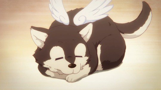 Anime Dog of the Day on Twitter: "Today\