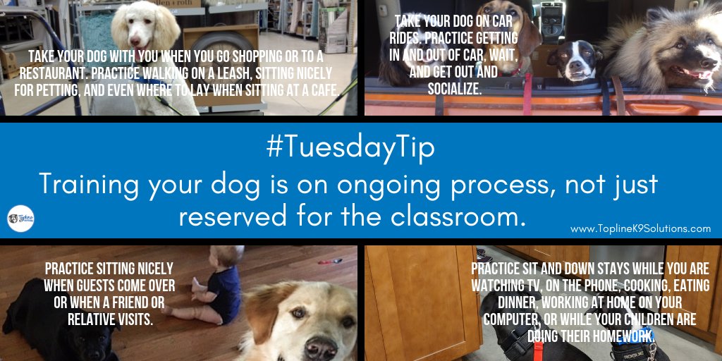 ToplineK9Solns's tweet photo. When #Trainingyourdog, look for opportunities in your day to day lives when you can work on a #command or skill. Here's a few ideas on where to start. #dogtraining https://t.co/rxgdOy0pKZ