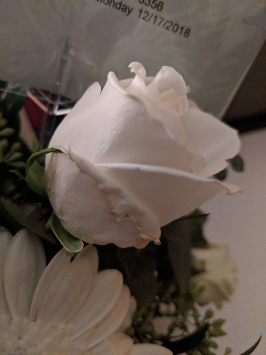 ClearLineDS's tweet photo. @Teleflora is this the best we can expect? First time using you. Perhaps the last. Ridiculous. https://t.co/cWoo3oUrJt