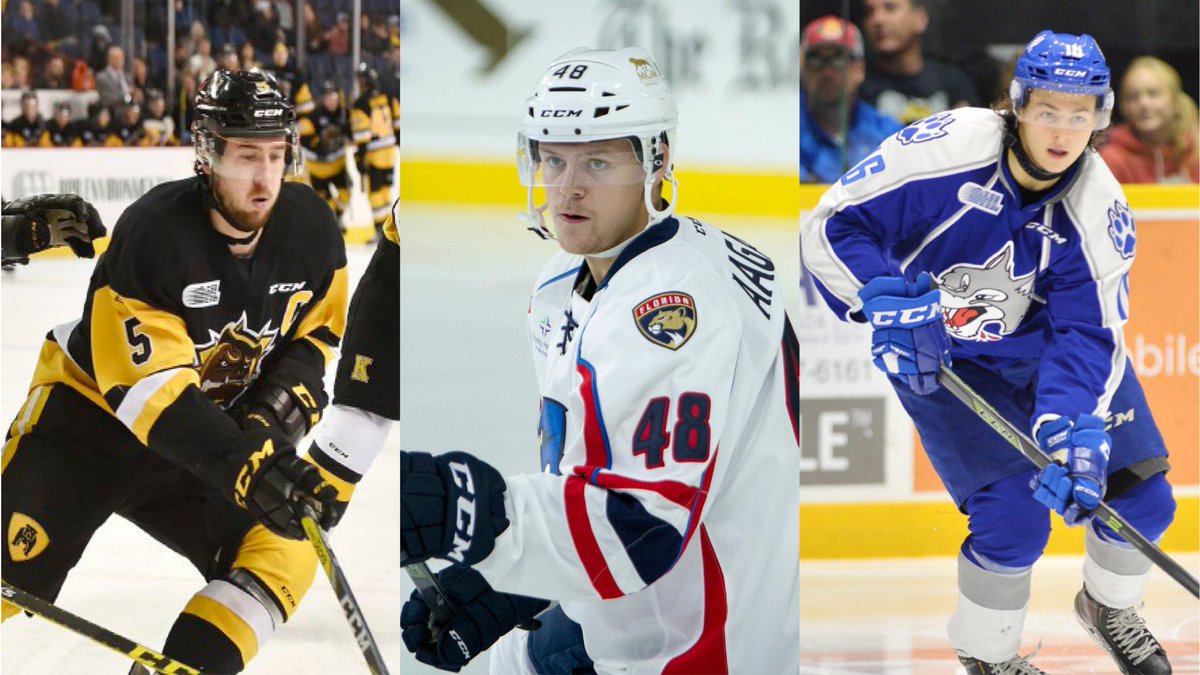🏒MHKY: Trio of talented, mid-season additions set to join Gryphons in New Year, including a former team captain at the World Jrs (Mikkel Aagaard), a 2017-18 OHL Champion (Justin Lemcke) &amp; an 18-goal scorer with the <a href="/Sudbury_Wolves/">Sudbury Wolves</a> (Ryan Valentini). ➡️gryphons.ca/news/2018/12/1…