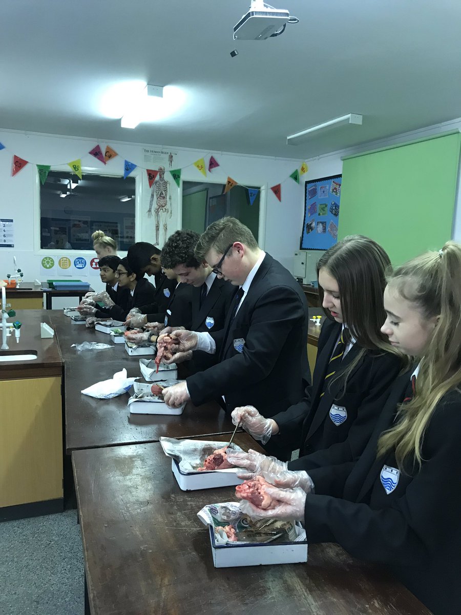 etonepedept's tweet photo. Some of our year 9 and 10 students are currently dissecting hearts. #dissectinghearts #learninginpe #extracurricular https://t.co/WyK3pmaBda