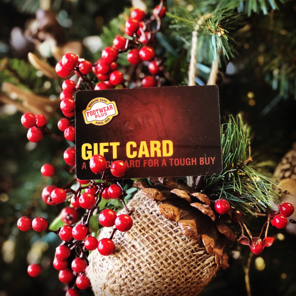 Christmas is almost here so time to come get your last minute gifts! Spend $125 and get a free $10 gift card to our store as our gift to you for making this holiday season a great one 🎄🎄🎄