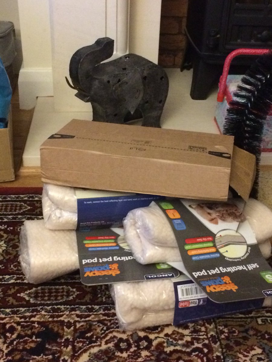bluekittenshq's tweet photo. 🐾fankyoo so much to da kind ppl who donated sleepy paws self heated pads to our outdoor kitties and deworming meds😹😽🐾🎄🙏🏻💙❤️#hugoXmas also special fanks to Karen 😽😽😽 #pleaseRT check often our amazon wish list 🙏🏻🐾we need you 🐾😽 https://t.co/eGXH3jsOlw