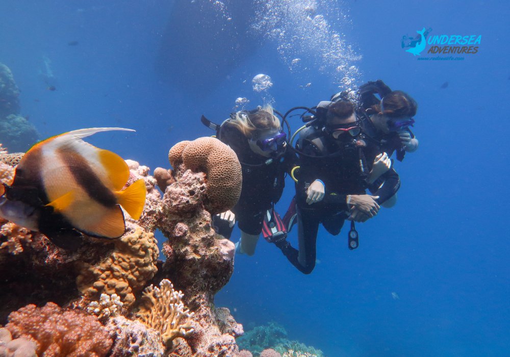 red_sea_life's tweet photo. Is scuba diving actually good for your health? You bet it is! Scuba diving is an excellent way to improve your physical and emotional health.
#scubadiving #hurghada #underwater #marinelife #amazing #redsea https://t.co/Lffue2qe17