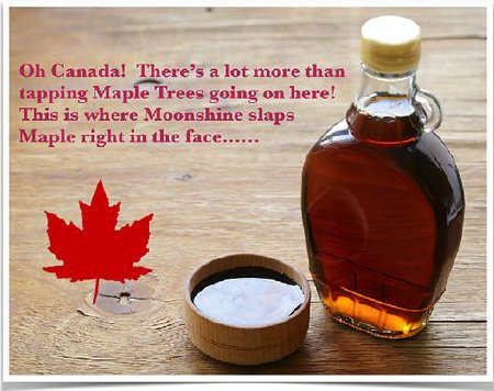 Jewelsunderthek's tweet photo. Bootleggers &amp; speakeasies alike would run these #Maple #MoonShine #Pecans!!
Not to worry though. You can eat as many as you'd like &amp; you won't get a hangover! These make great stocking stuffers! https://t.co/AQjbz2Mg2h #HealthyCanadianCookOff sponsor @Jewelsuthek https://t.co/nJ5hdn061O