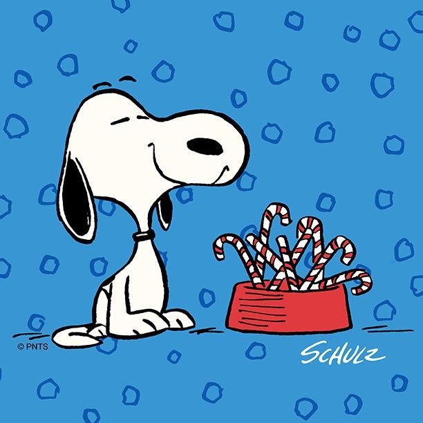 CSInspecting's tweet image. Merry Christmas - mailchi.mp/98aacb7bbc5d/m…