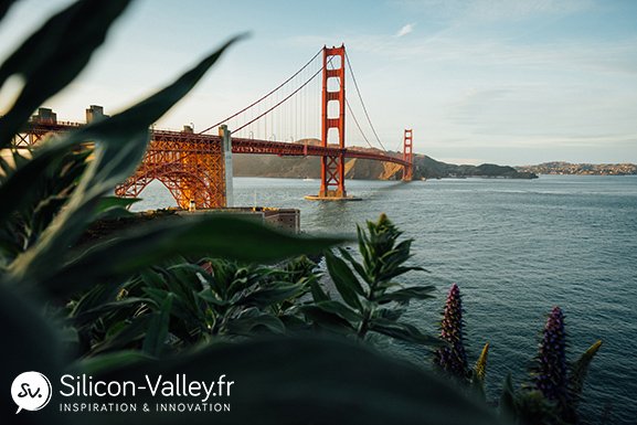 Découvrir la vie entrepreneuriale de la Silicon Valley et de San Francisco, une bonne idée non ? 🌉
Nos prochaines Learnings Expeditions, du 17 au 22 février ou du 31 mars au 5 avril 2019.
Si vous désirez vous inscrire, voici notre bon de réservation : 
👉silicon-valley.fr/bon-de-reserva…