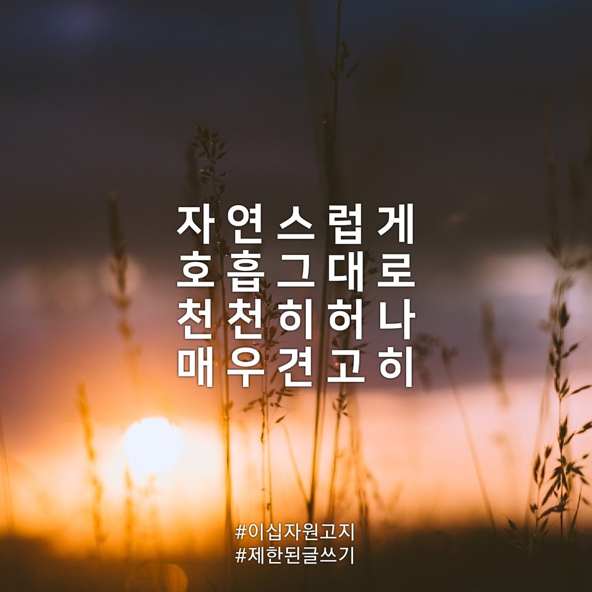나는 그렇게 갑니다.

그러니
내 상관말고
당신의 뜻대로
당신의 길을 가시길

#제한된글쓰기 
#이십자원고지