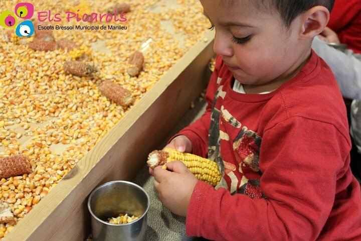 picarolsmanlleu's tweet photo. Cada infant és únic i necessita llibertat per créixer i explorar el món per sí mateix. Només així, estem educant els homes i dones del futur" -Maria Montessori- #manlleu
@ajManlleu @suaracoop https://t.co/Em7UkeMnyM
