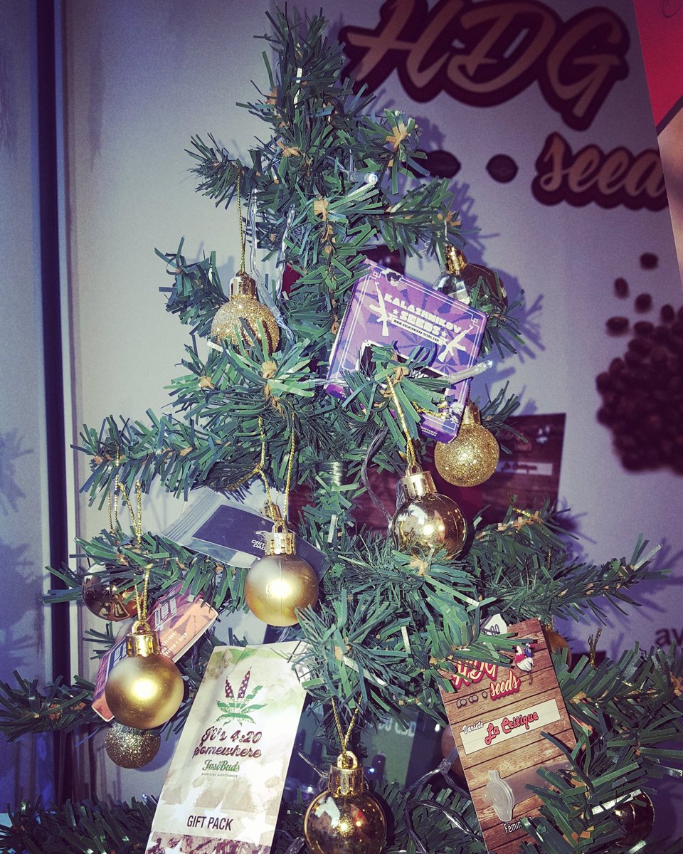 HdgAvignon's tweet photo. ❄☃️AGENDA DES FETES☃️❄
👉Le shop sera exceptionnellement OUVERT les lundis 24 et 31 décembre de 10h00 a 16h00🍀
👉FERMETURE les 25 et 26 décembre et le 1er et 2 janvier🚨
😍😍Nous vous souhaitons de bonnes collections et de BONNES FETES😍😍
#seedshop #graine #cannabis #avignon https://t.co/6Ni4KRxo94