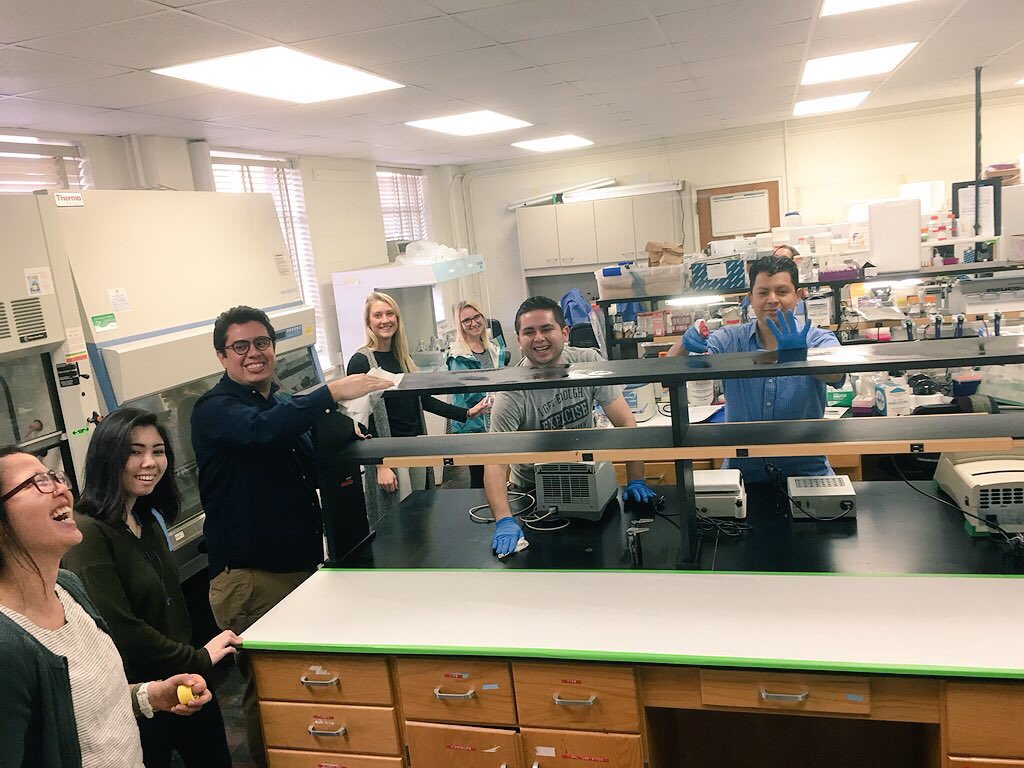 KnDArcangelo's tweet photo. “Everyone act natural” #LabCleanUpDay https://t.co/cQRWYioEHO