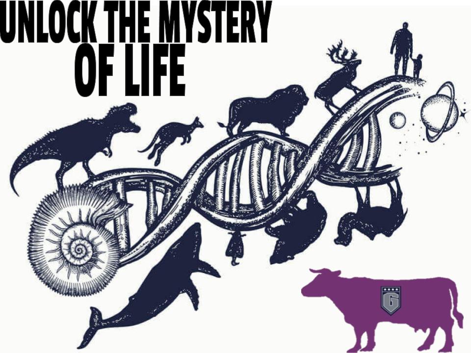 flyndefy's tweet photo. Thomas Nelson is looking for a Purple Cow Biology LEADER to inspire our Generals in the coming semester. If you are interested in this position email courtney.newton@nelson.kyschools.us or DM this account. Thank you. #flyndefy https://t.co/hx2f8c7ejI