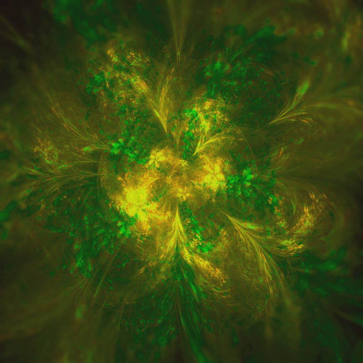 bymiraminerva's tweet photo. Abstract Green And Brown Shape
https://t.co/qzos88HOV7

#wallpaper #background #digitalart #iphonewallpaper #androidwallpaper #wallpaperphone #wingwallpaper #greengradient #yellowgradient #olivegradient https://t.co/2My6IrKuLy