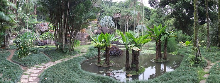 landarchmag's tweet photo. .@jujuraxy's book Overgrown: Practices Between Landscape Architecture &amp; Gardening, published by @mitpress, urges landscape designers to re-embrace gardening &amp; accept the gardener's seemingly prosaic practice of maintenence as a vital landscape deisgn tool. https://t.co/y7uCrHculR https://t.co/iGV2fIM89S