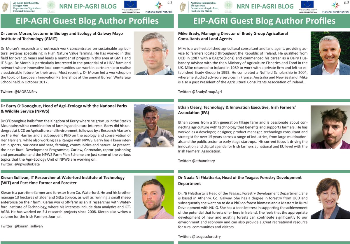 CAP Network Ireland tweet media