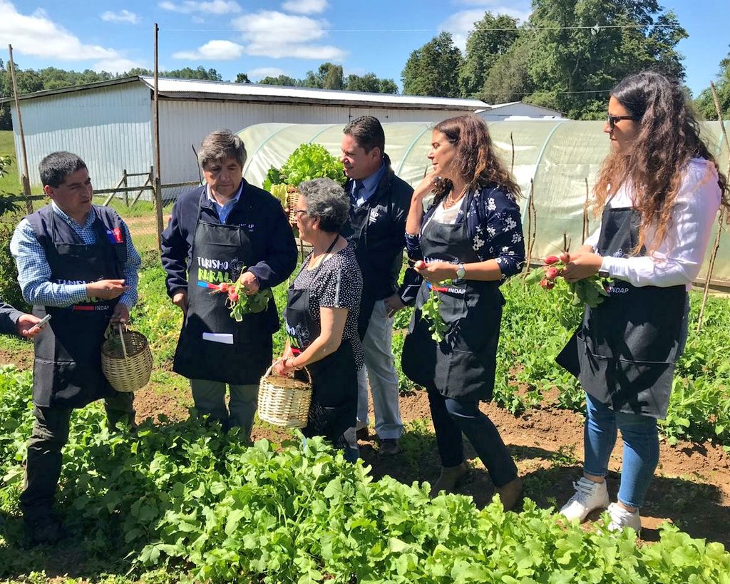 INDAP Los Ríos tweet media