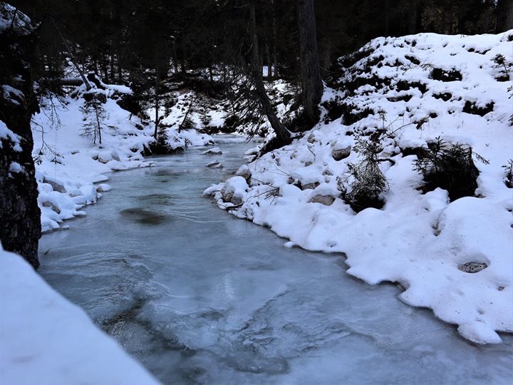 caifvg's tweet image. Una bella escursione sulla neve delle #Dolomiti Ampezzane domenica scorsa per il #CAI di San Daniele del Friuli! ❄️❄️
