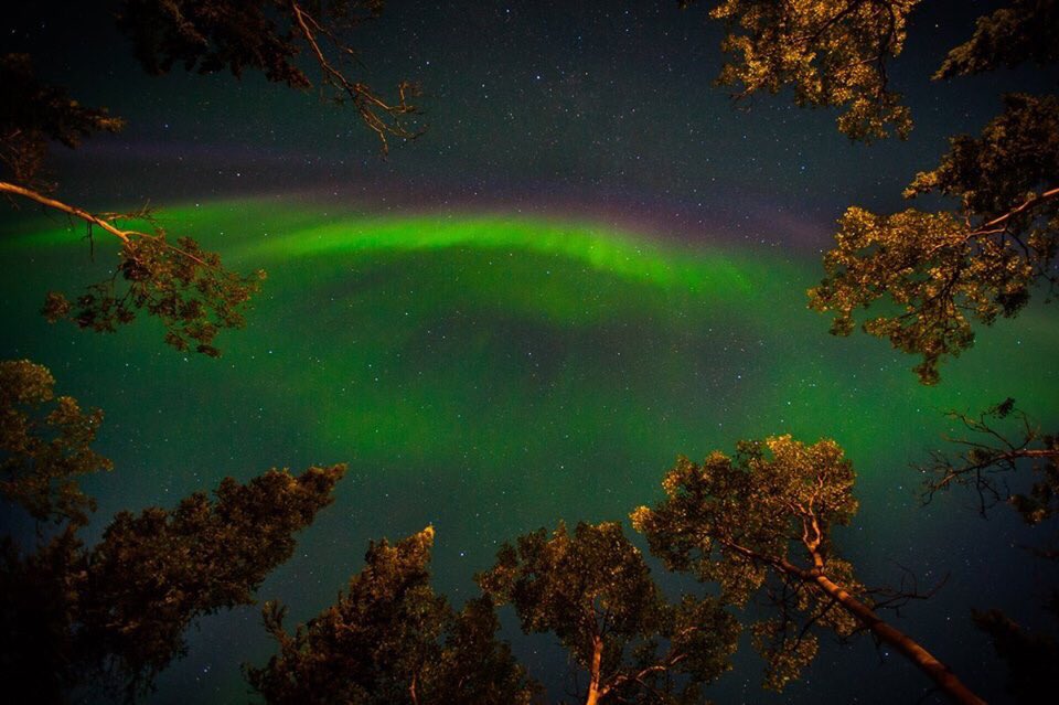 Bright green lights shine in the night sky.