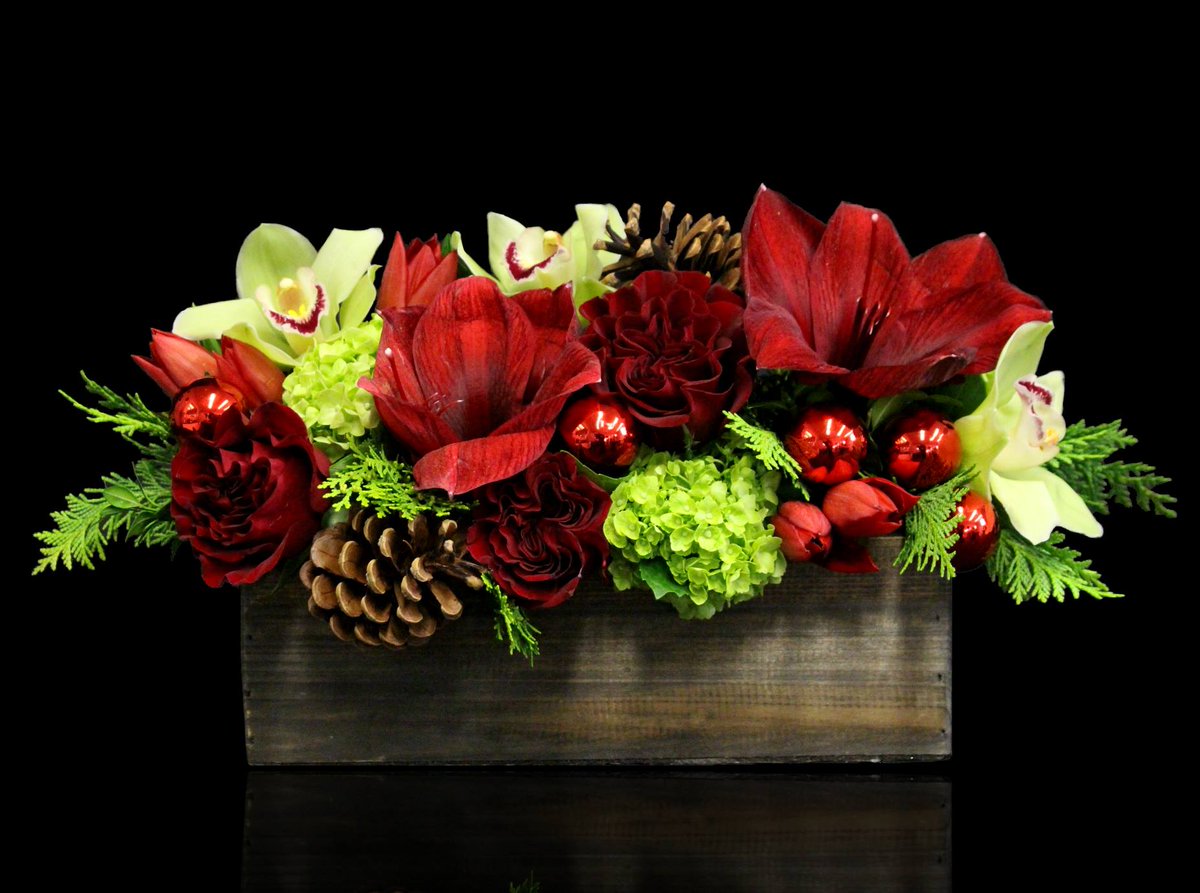 stapletonfloral's tweet photo. Holiday Decor. Delivered. #give #receive #easy #DesignedInBoston https://t.co/oWDvFWN9VF https://t.co/ukh8fHSVvq