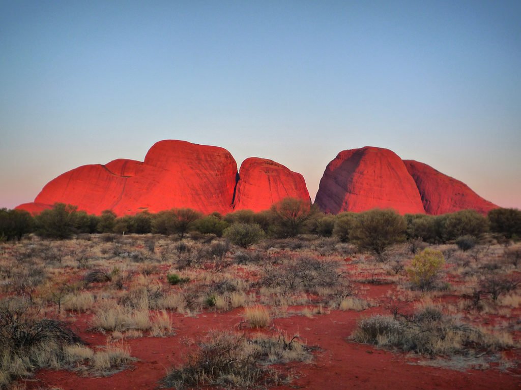 Transfercar tweet media