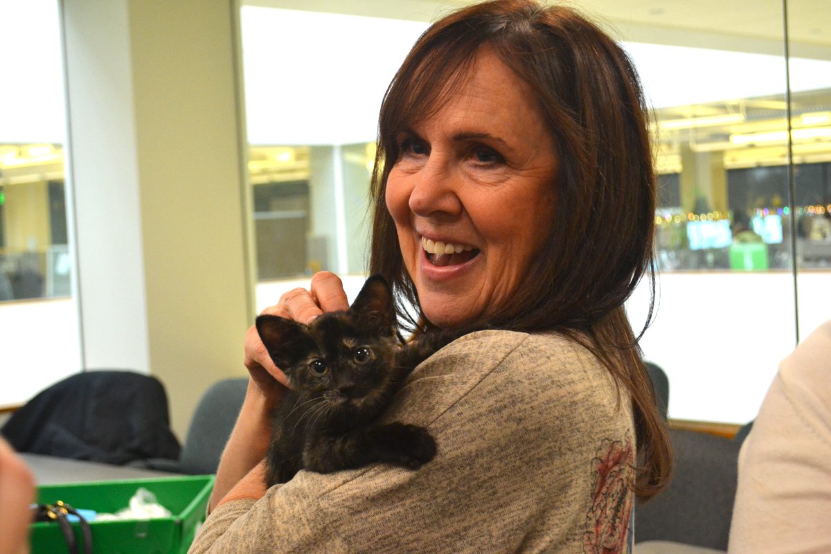 RegenceOregon's tweet photo. Regence employees + #rescue puppies & kittens = ๐
The @OregonHumane #SnuggleExpress aims to share the joy of companion animals, brighten the days of employees or relieve holiday stress, as well as help socialize the shelter pets themselves. https://t.co/b1HXKuuRDi